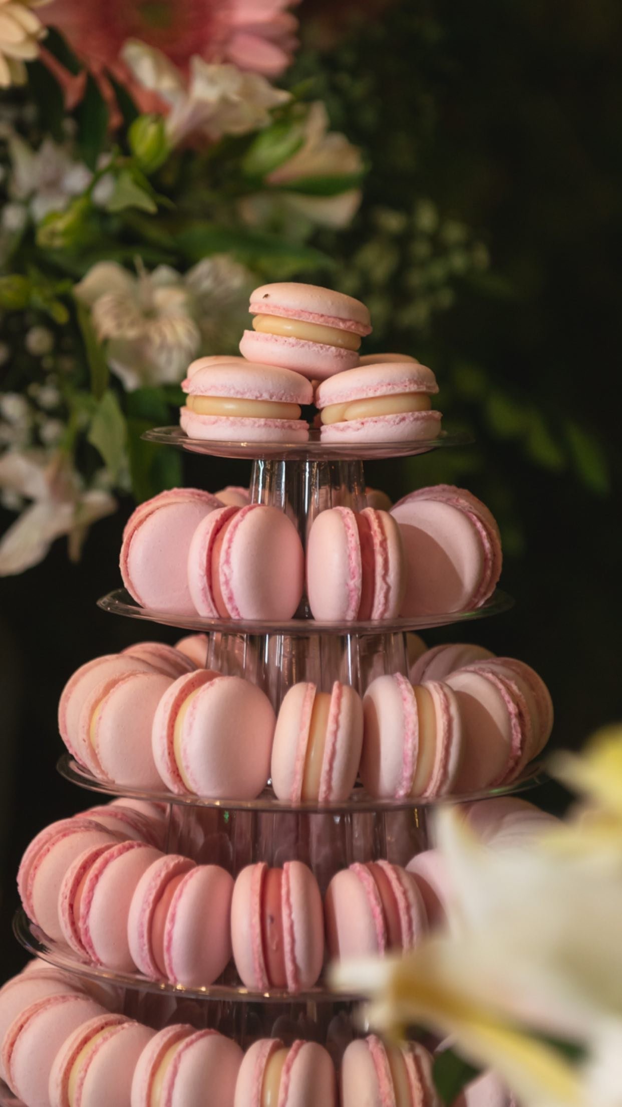 575313753_18244881115293705_5519197077050462220_n.